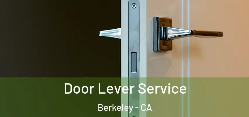  Door Lever Service Berkeley - CA