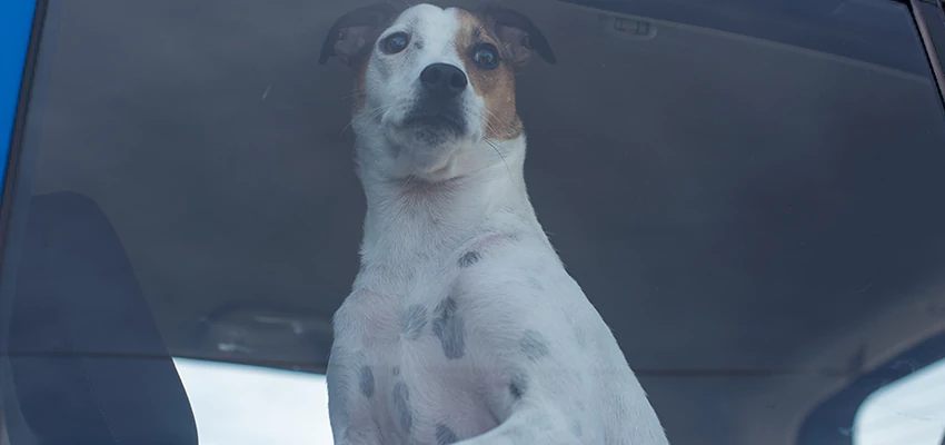 Car Lockout Solutions in Berkeley, California